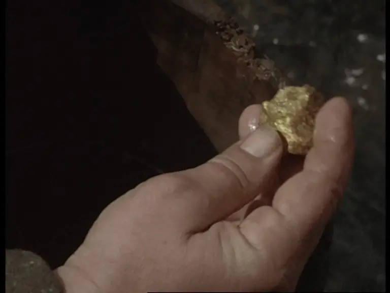 野性的呼唤：育空的狗剧照2