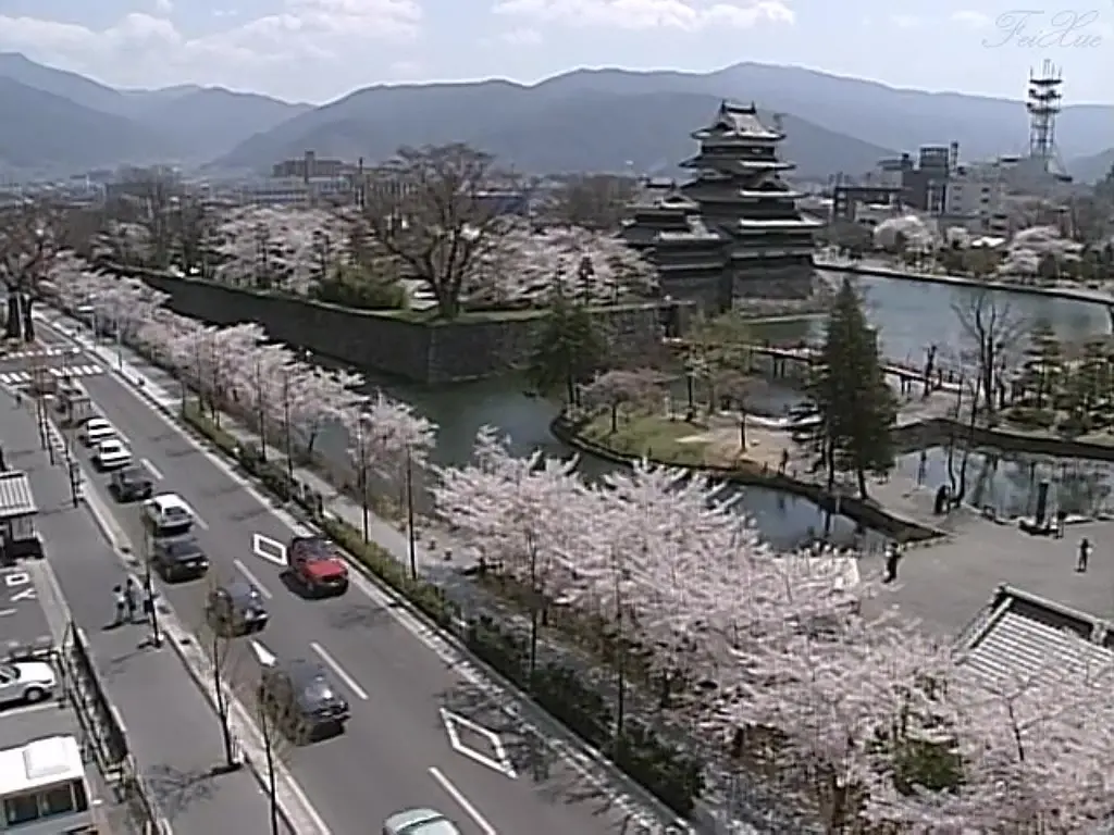 白线流:19岁之春剧照3