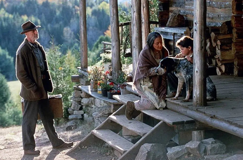 小树的故事剧照2