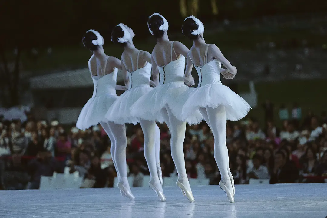 柴科夫斯基 芭蕾舞剧《天鹅湖》剧照1