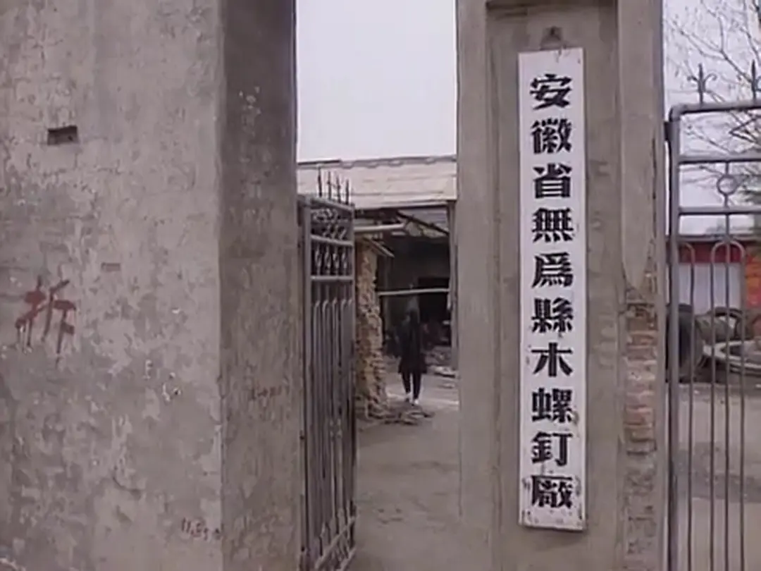 回到凤凰桥剧照3