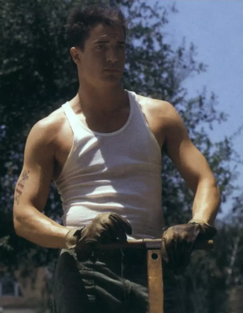 众神与野兽剧照1