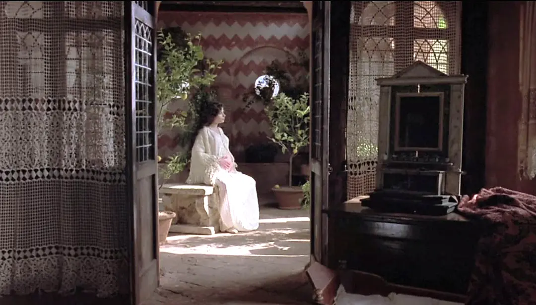 红色小提琴剧照1