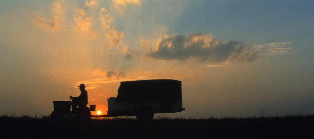 史崔特先生的故事剧照1