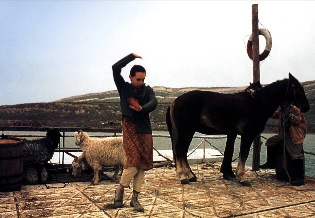 谁来为我摘月亮剧照2