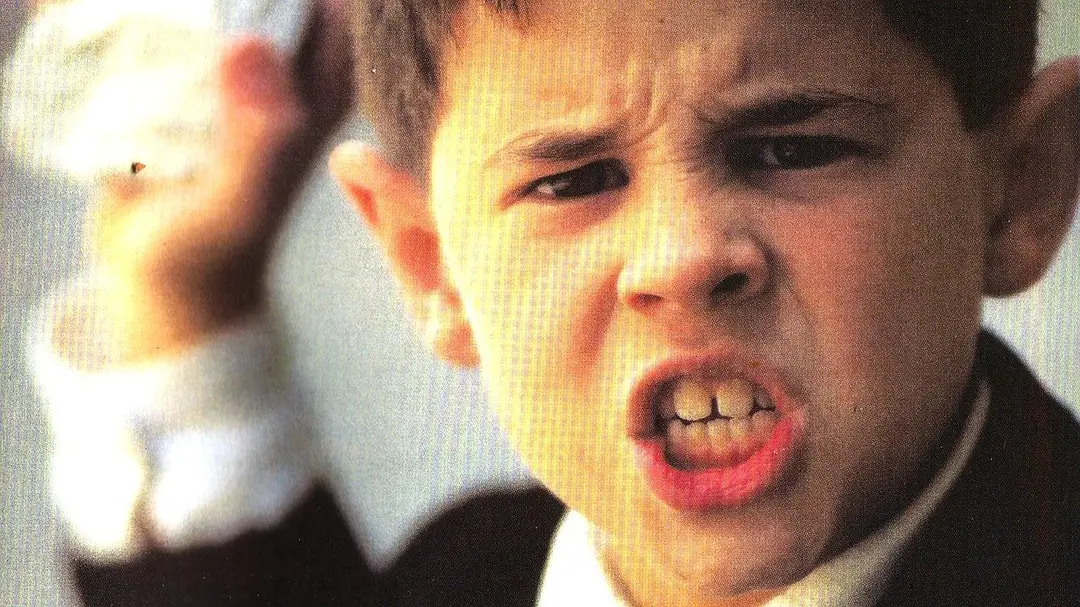 蝴蝶的舌头剧照1