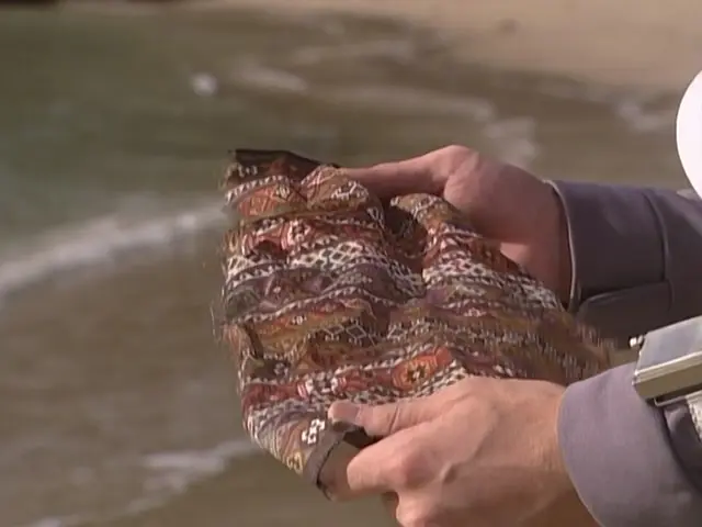 赛文奥特曼 约定的结果剧照2