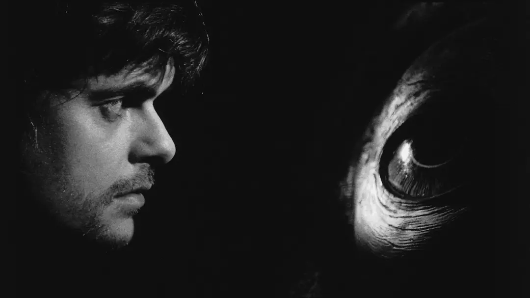 鲸鱼马戏团剧照1