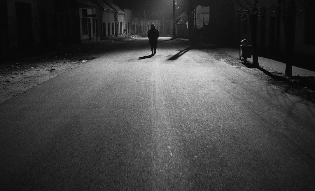 鲸鱼马戏团剧照2