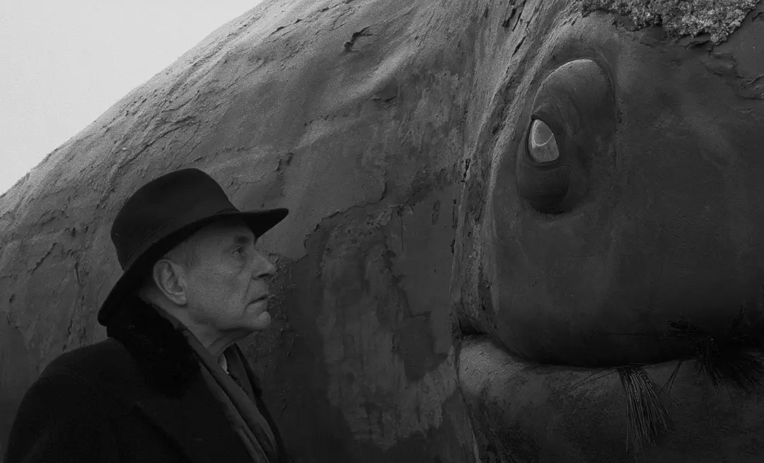 鲸鱼马戏团剧照3