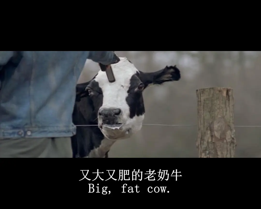 闪烁恶人心剧照2