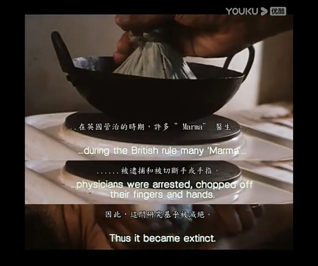 阿育吠陀：存在的艺术剧照2