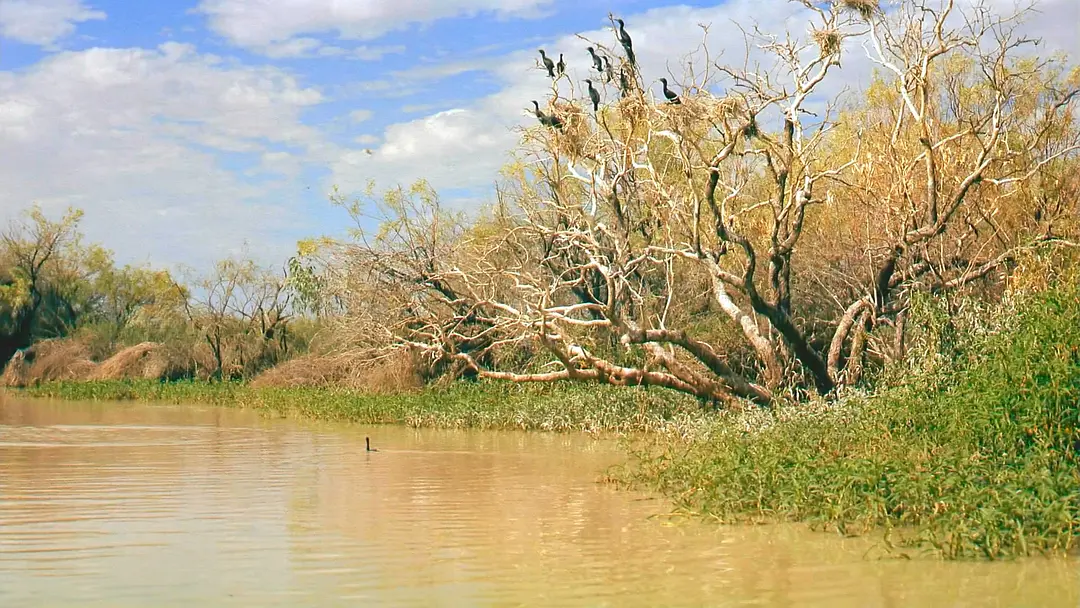 澳洲奇趣之旅剧照1