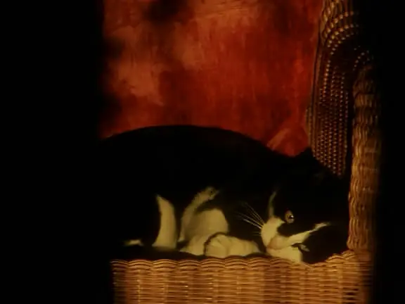 风的第一声呼吸剧照1