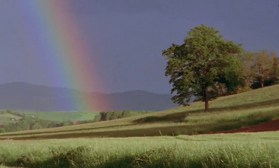 山村犹有读书声剧照2