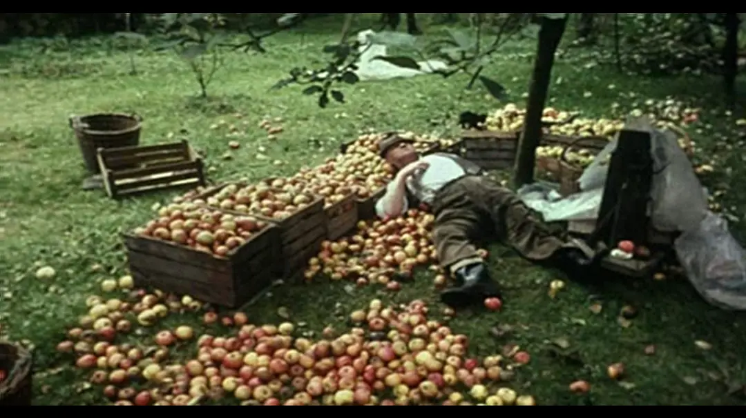 十分钟年华老去：大提琴篇剧照1