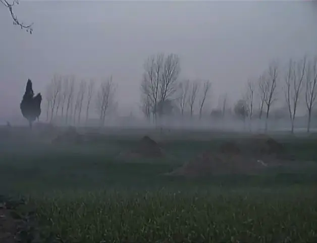 好死不如赖活着剧照2