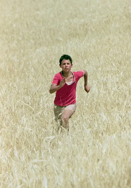 有你我不怕剧照3