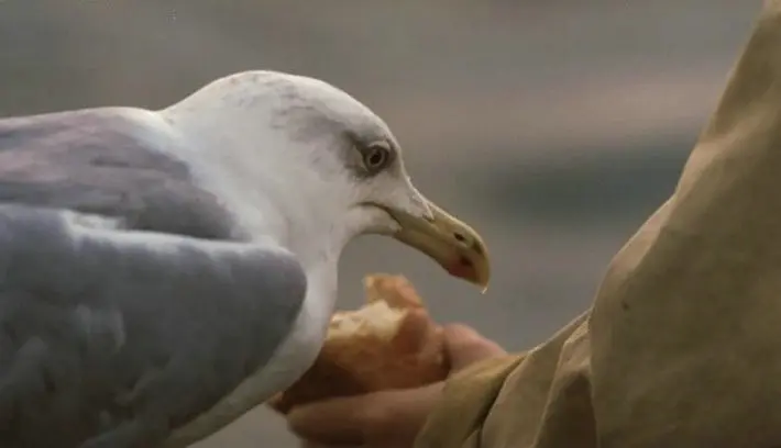 消失在地图上的名字剧照1