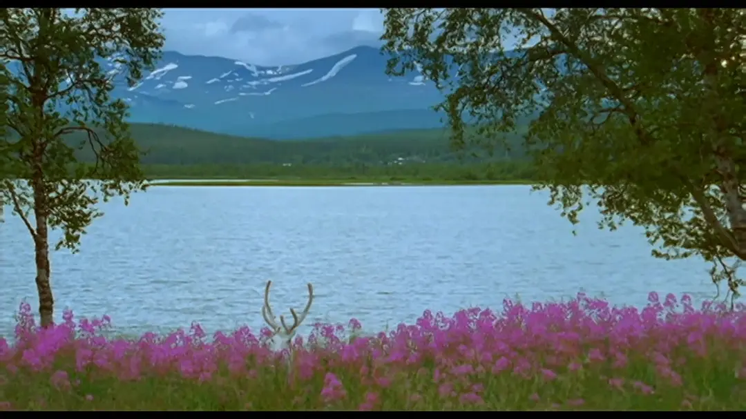 爱玛和丹尼尔的夏天剧照3