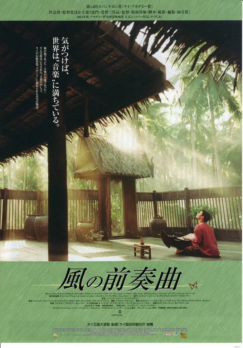 最后的木琴师剧照2