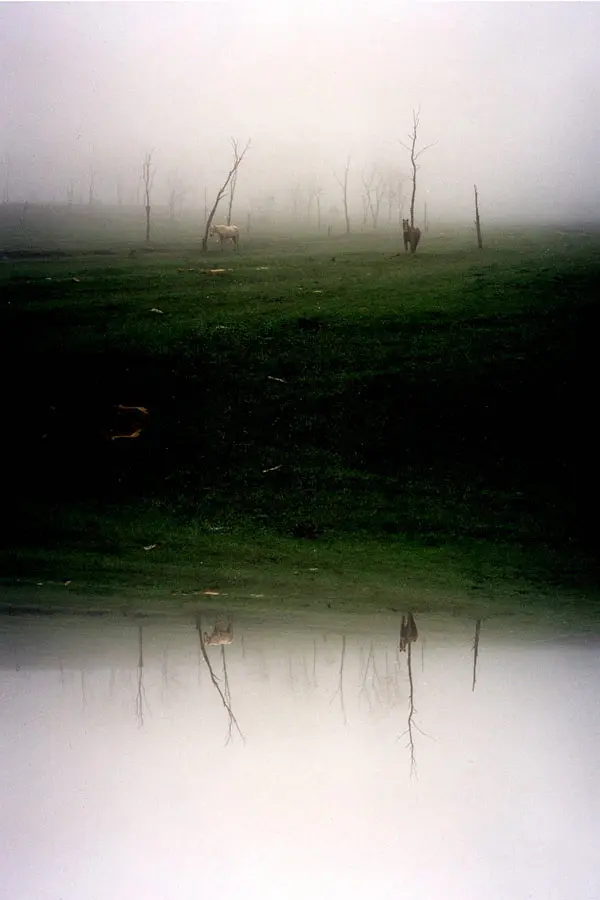 三个忧郁的房间剧照1