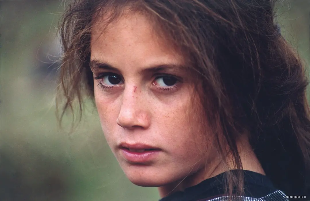 乌龟也会飞剧照2