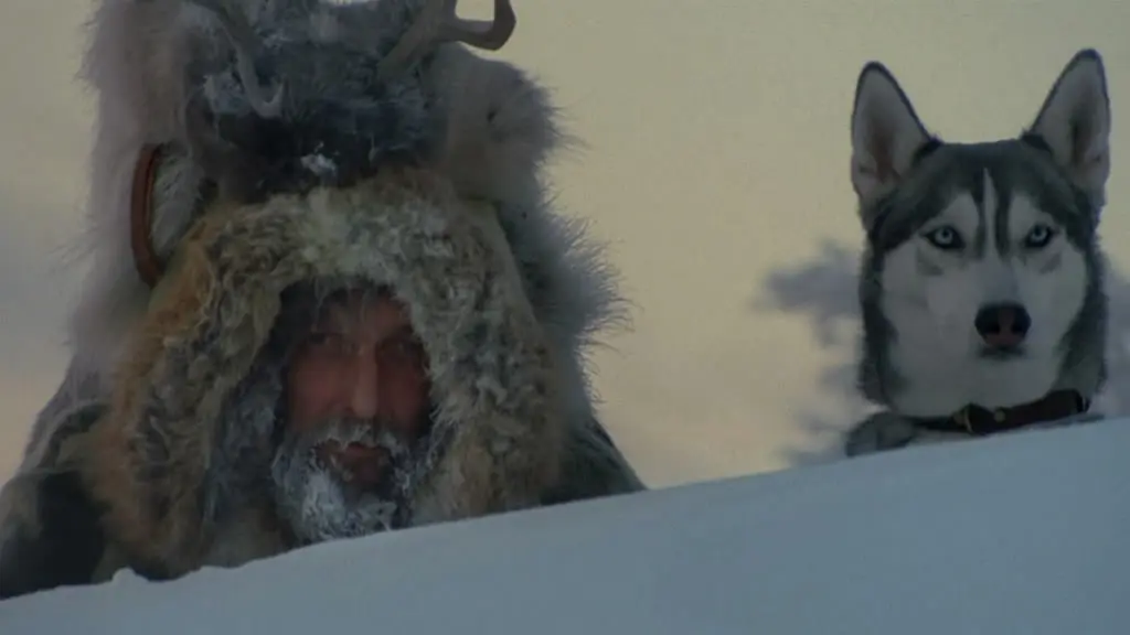 最后的猎人剧照2