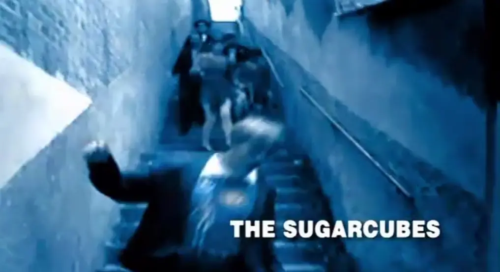 尖叫的经典剧照2