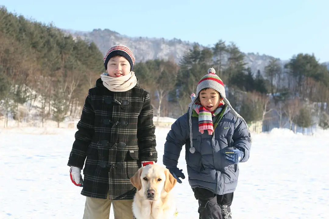 哥哥我爱你剧照3