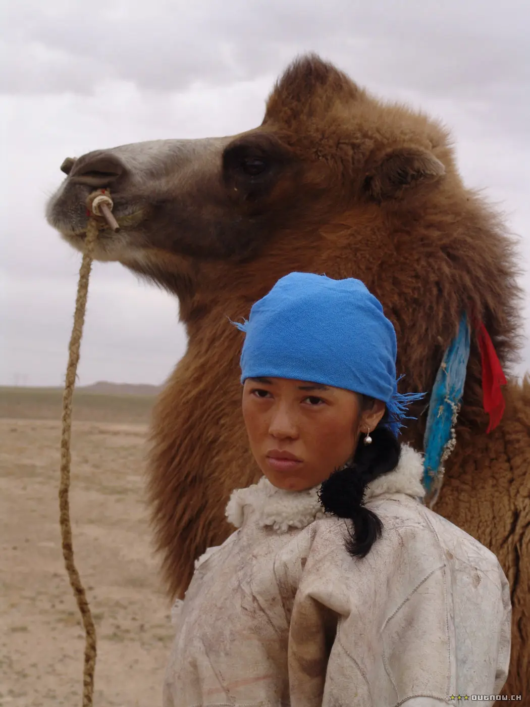 图雅的婚事剧照2