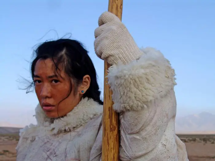 图雅的婚事剧照3