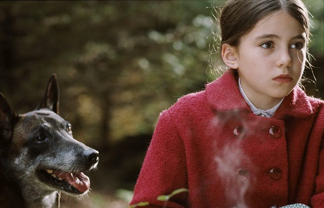 真爱满行囊剧照1