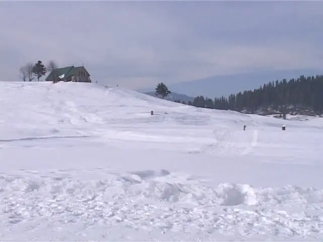 我们如何欢庆自由剧照3