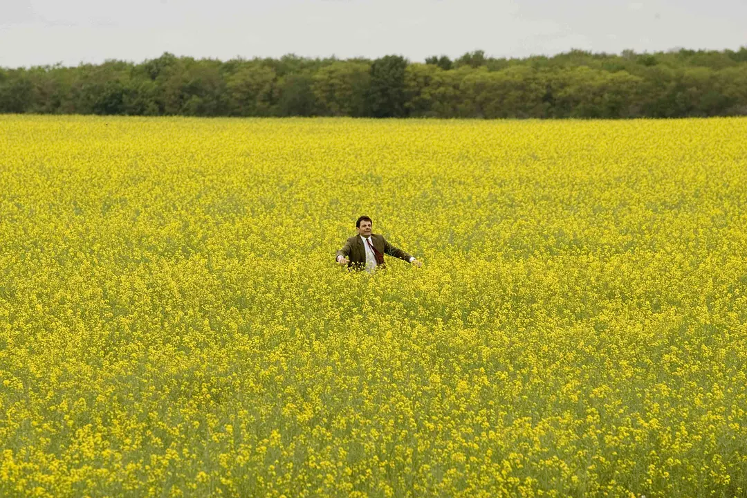 憨豆的黄金周剧照1