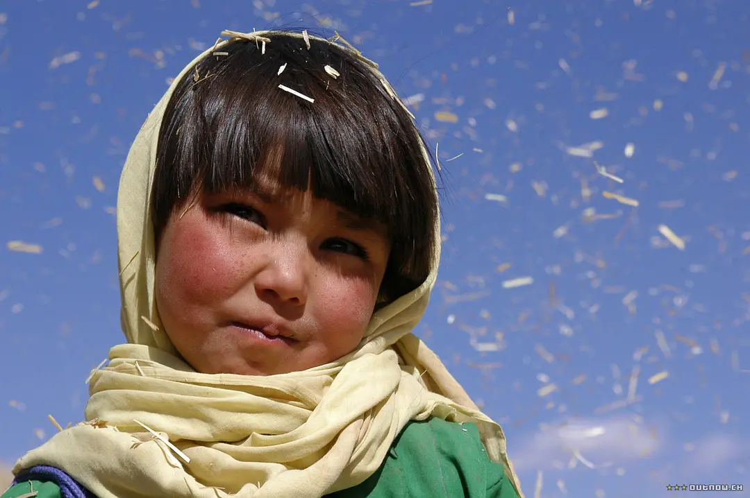 佛在耻辱中倒塌剧照1