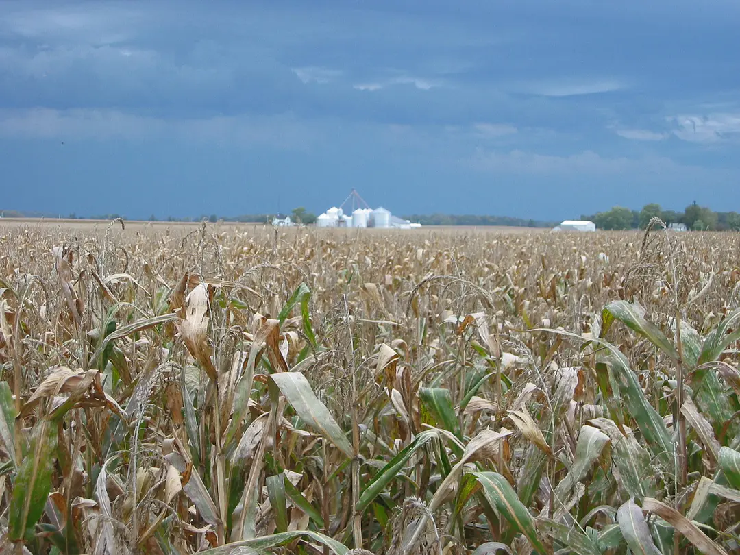 孟山都公司眼中的世界剧照2