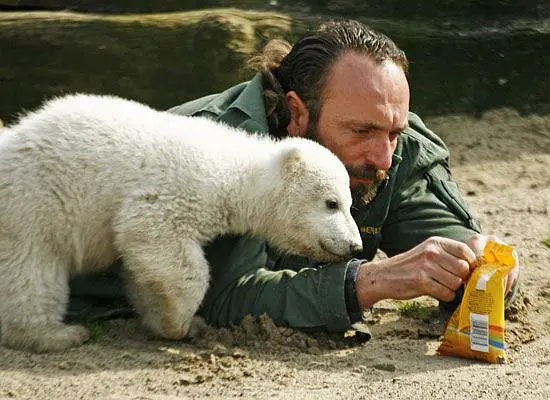 克努特和它的朋友们剧照2