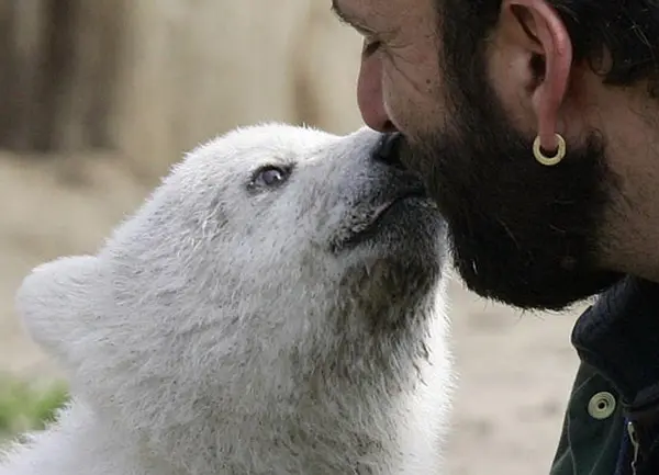 克努特和它的朋友们剧照3