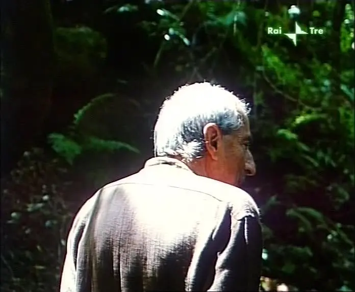 阿蒂米德的膝盖剧照1