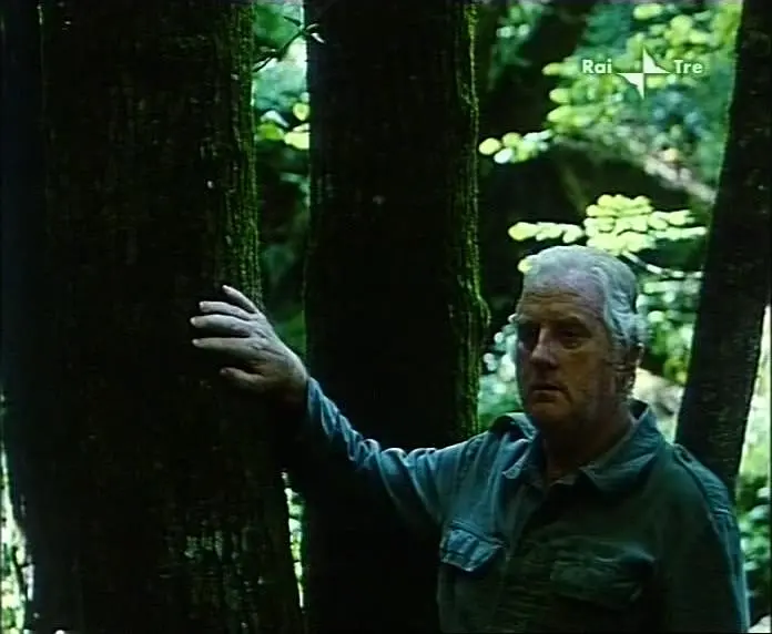 阿蒂米德的膝盖剧照2