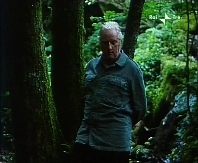 阿蒂米德的膝盖剧照3