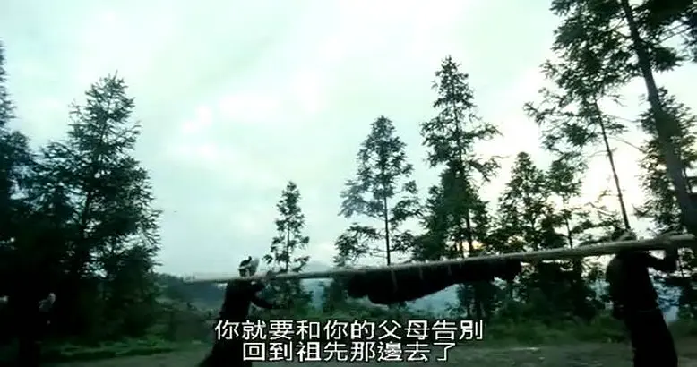 滚拉拉的枪剧照1