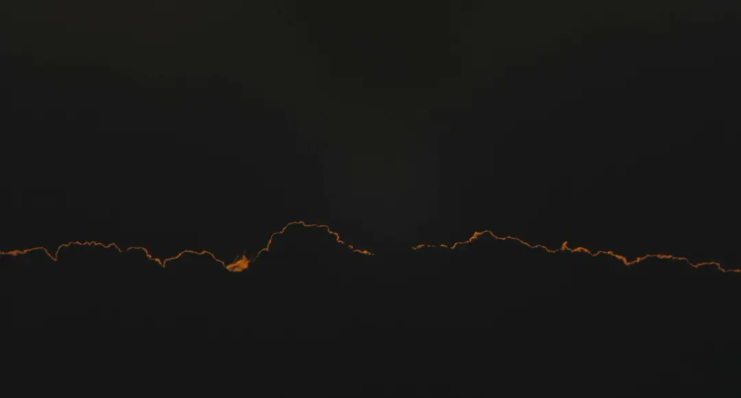 红色翅膀：火烈鸟故事剧照3