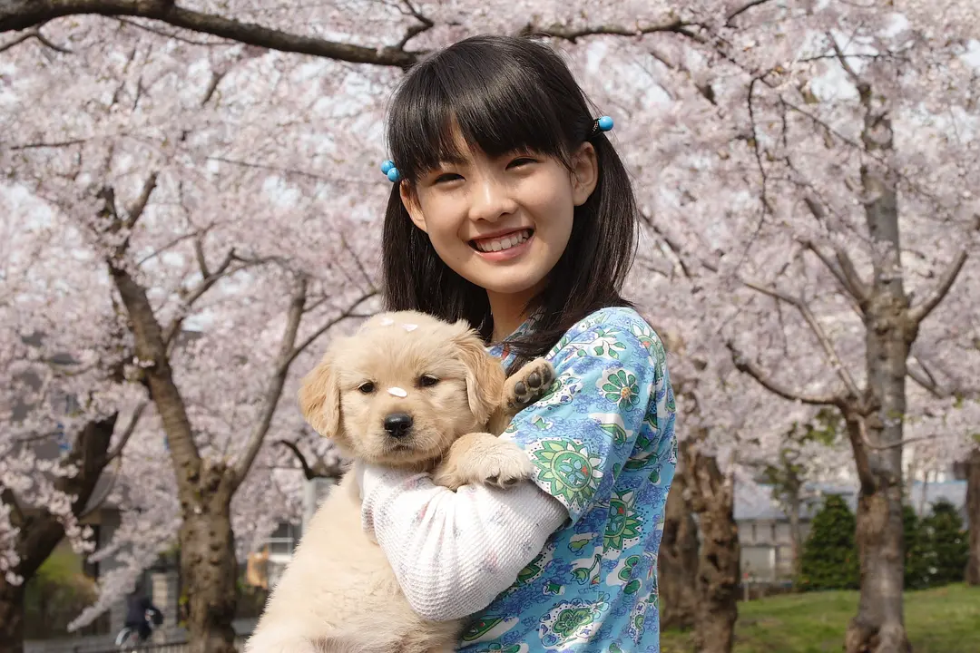 狗狗与我的十个约定剧照1