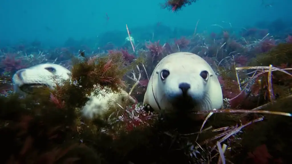 海底世界3D剧照2