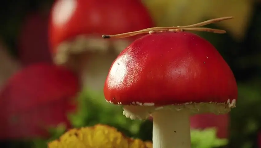 神话的森林剧照1