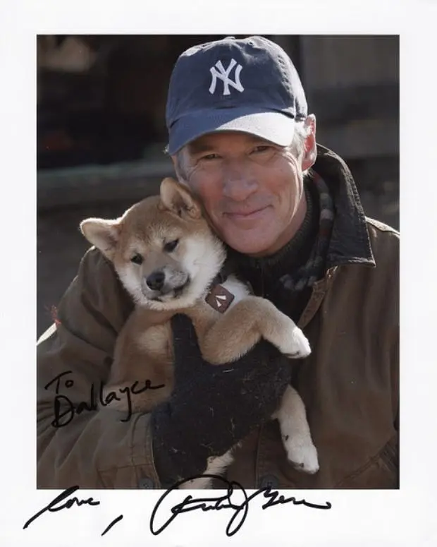 忠犬八公的故事剧照3