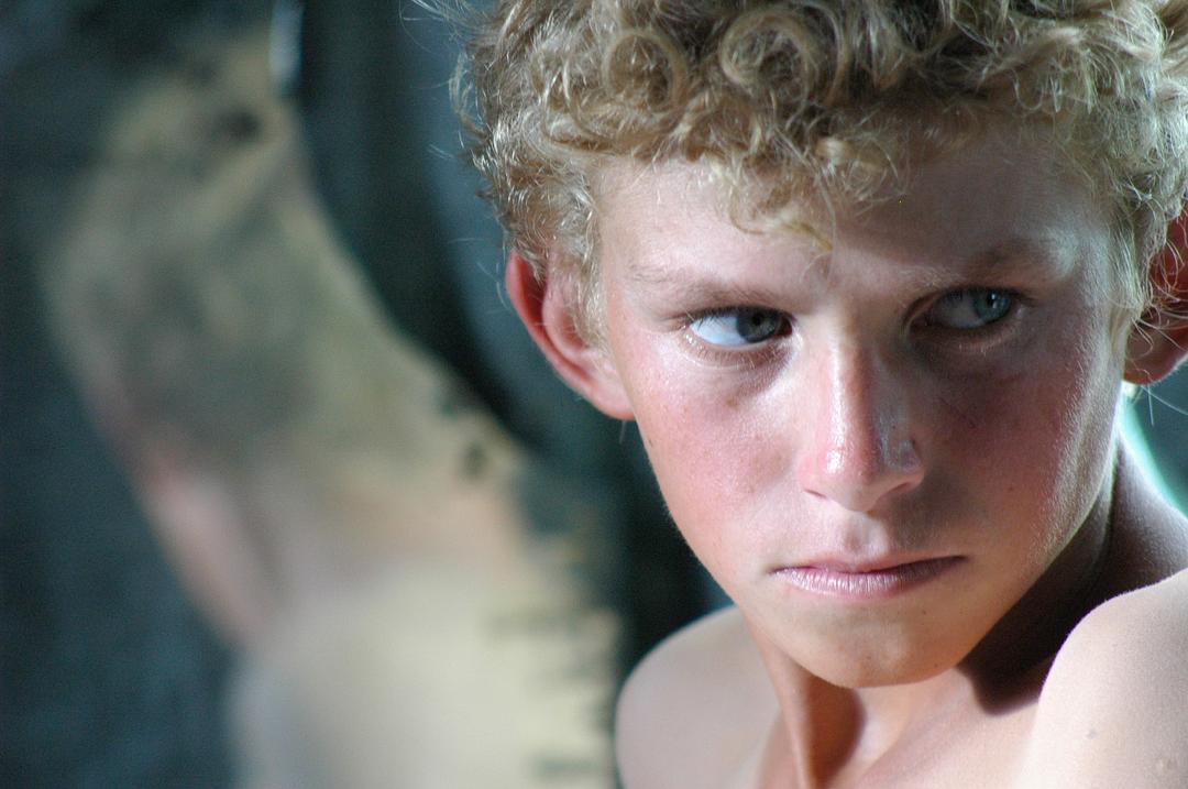 脸红的夏日剧照3