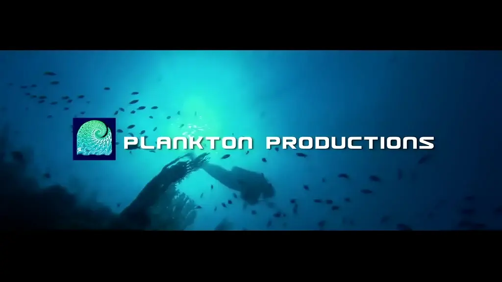 梦幻珊瑚海：唤醒剧照1